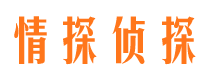 上思侦探公司